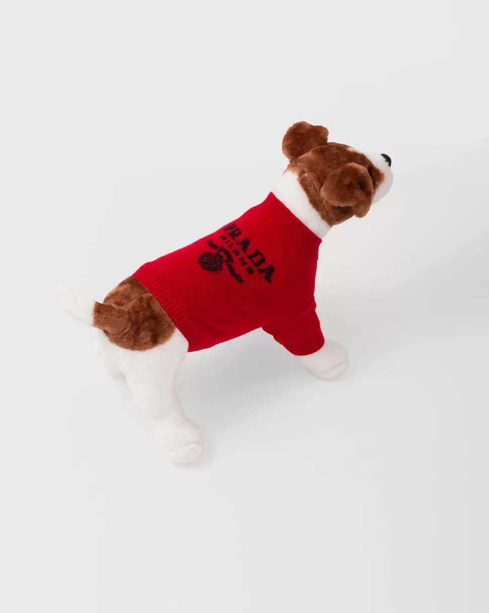 Shop Prada Hundepullover Aus Wolle Und Kaschmir Schwarz